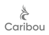 Caribou Icon 3